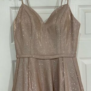 Champagne Pink Glitter Dress